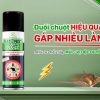 đuổi chuột bằng cách nào, đuổi chuột bằng cách nào hiệu quả, đuổi chuột bằng cách nào an toàn, xịt đuổi chuột rat & pest oust, xịt chống chuột rat & pest oust