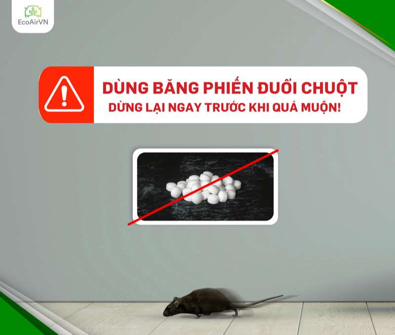 băng phiến có đuổi được chuột không, xịt đuổi chuột, xịt chống chuột, Rat & Pest Oust