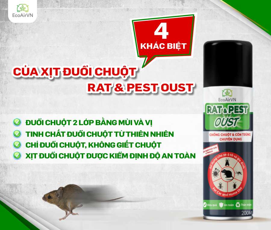 chuột có sợ mùi tỏi không, chuột sợ mùi gì, xịt đuổi chuột, rat & pest oust