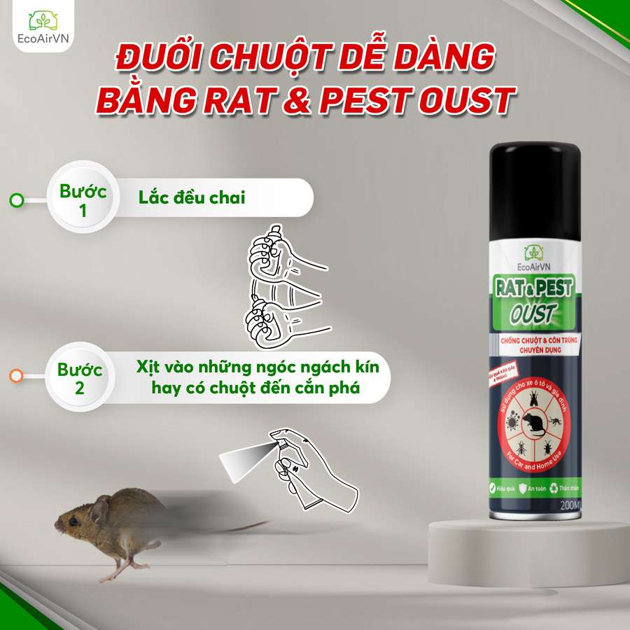 cách đuổi chuột và gián, xịt đuổi chuột Rat & Pest Oust, Rat & Pest Oust