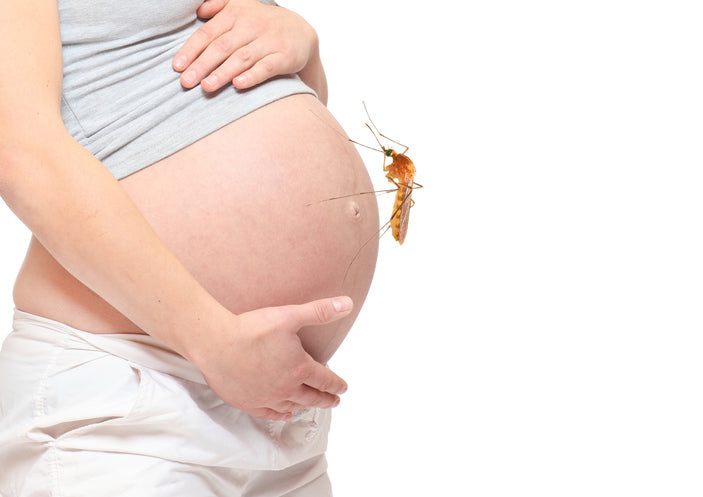 Cách đuổi muỗi an toàn cho bà bầu, không dùng hoá chất
