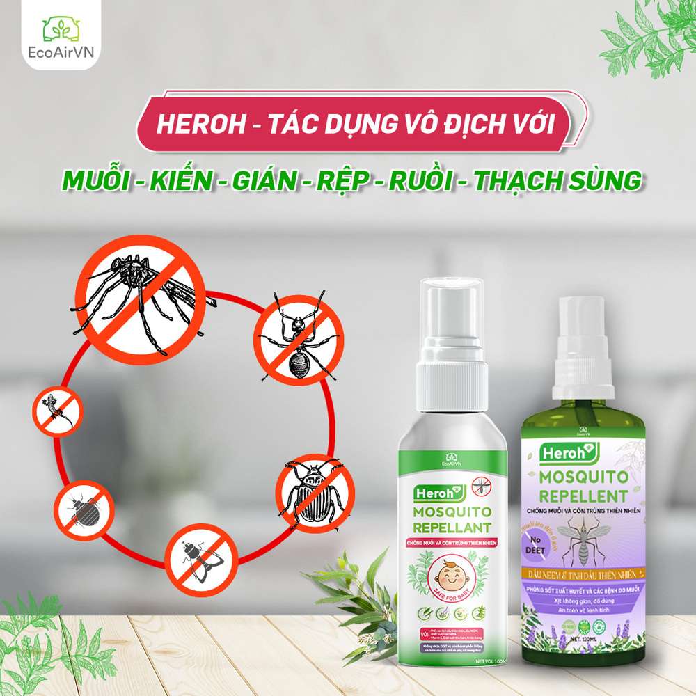 cách đuổi muỗi và dĩn, cách đuổi muỗi dĩn trong nhà, xịt chống muỗi thiên nhiên, xịt chống muỗi thiên nhiên heroh