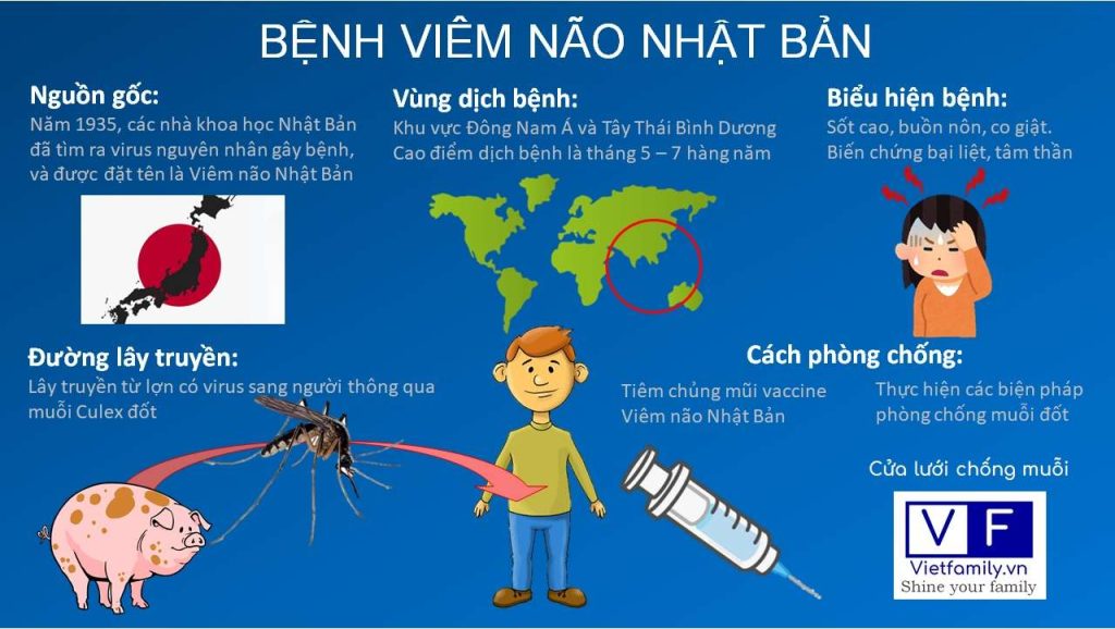 viêm não Nhật Bản