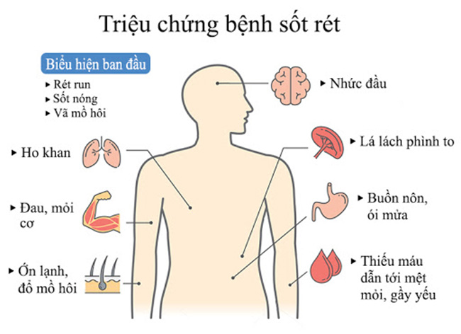 muỗi anophen, xịt chống muỗi thiên nhiên, xịt chống muỗi, xịt muỗi thiên nhiên, xịt chống muỗi thiên nhiên heroh