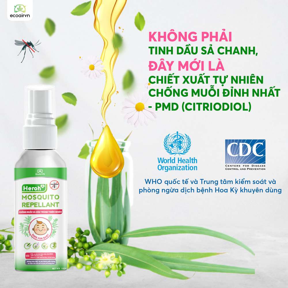 cách diệt muỗi anophen, xịt chống muỗi thiên nhiên, xịt chống muỗi, xịt muỗi thiên nhiên, xịt chống muỗi thiên nhiên heroh