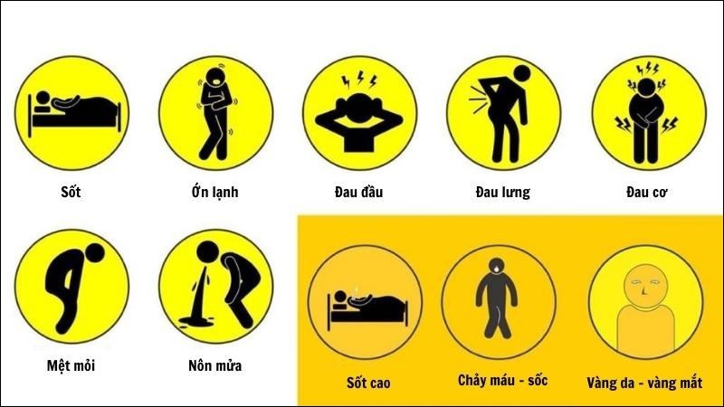 sốt vàng da, bệnh sốt vàng, xịt chống muỗi thiên nhiên, xịt chống muỗi