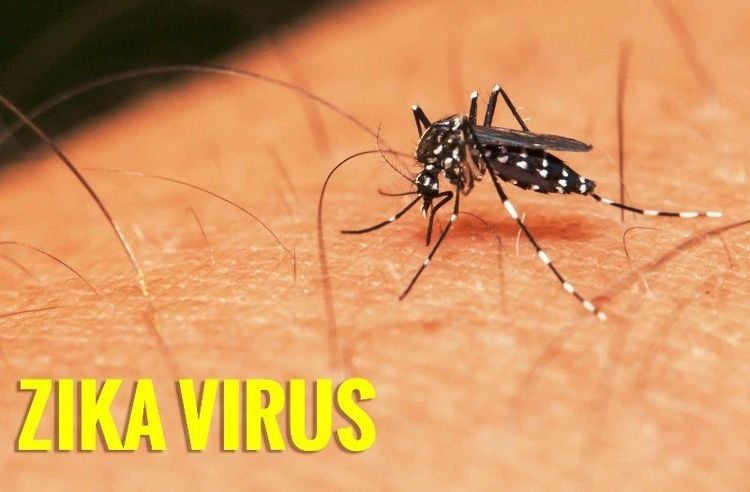 Bệnh virus Zika là gì? Nguyên nhân và cách phòng tránh