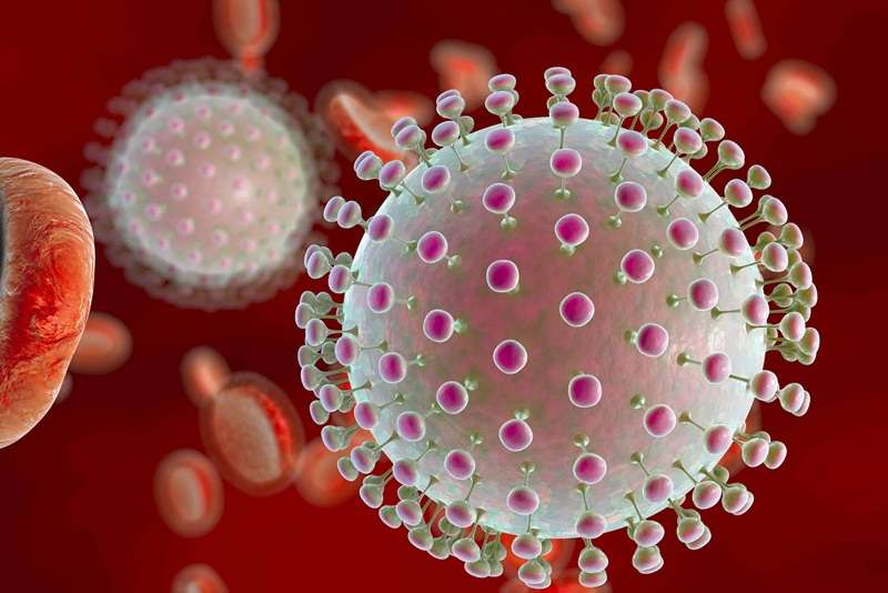 virus Zika, cách phòng tránh virus Zika, xịt chống muỗi thiên nhiên, xịt chống muỗi, xịt muỗi thiên nhiên, xịt chống muỗi thiên nhiên heroh