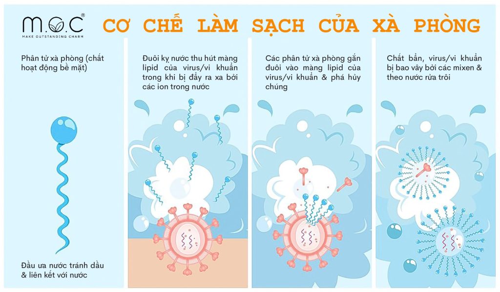 nước rửa tay diệt khuẩn, các loại nước rửa tay, nước rửa tay sinh học, nước rửa tay thiên nhiên, nước rửa tay an toàn, nước rửa tay thiên nhiên Laphe