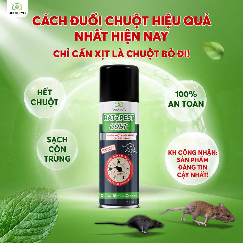 nuôi con gì để đuổi chuột, xịt đuổi chuột, xịt đuổi chuột Rat & Pest Oust