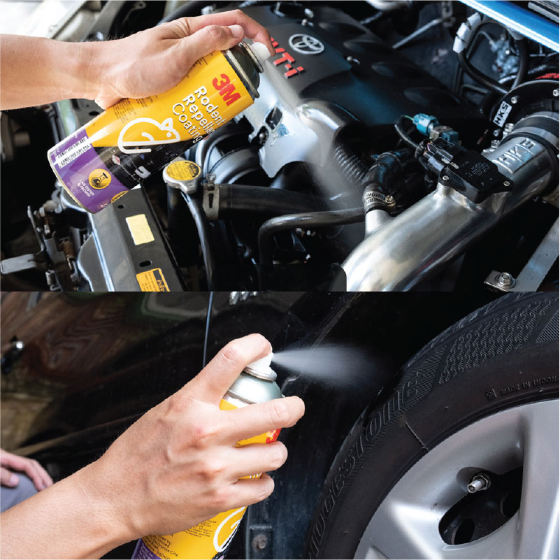 chai xịt chống chuột 3M có hiệu quả không, xịt chống chuột ô tô engine cleaner