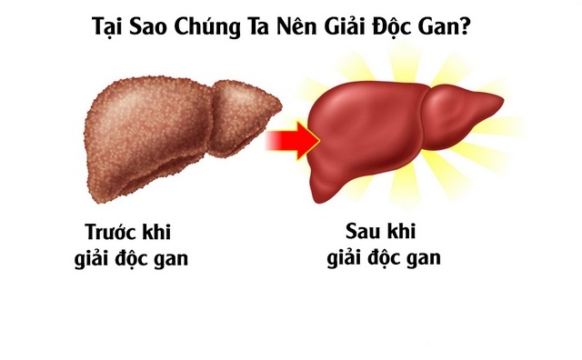 Uống gì để giải độc gan? Những thức uống giải độc gan hiệu quả