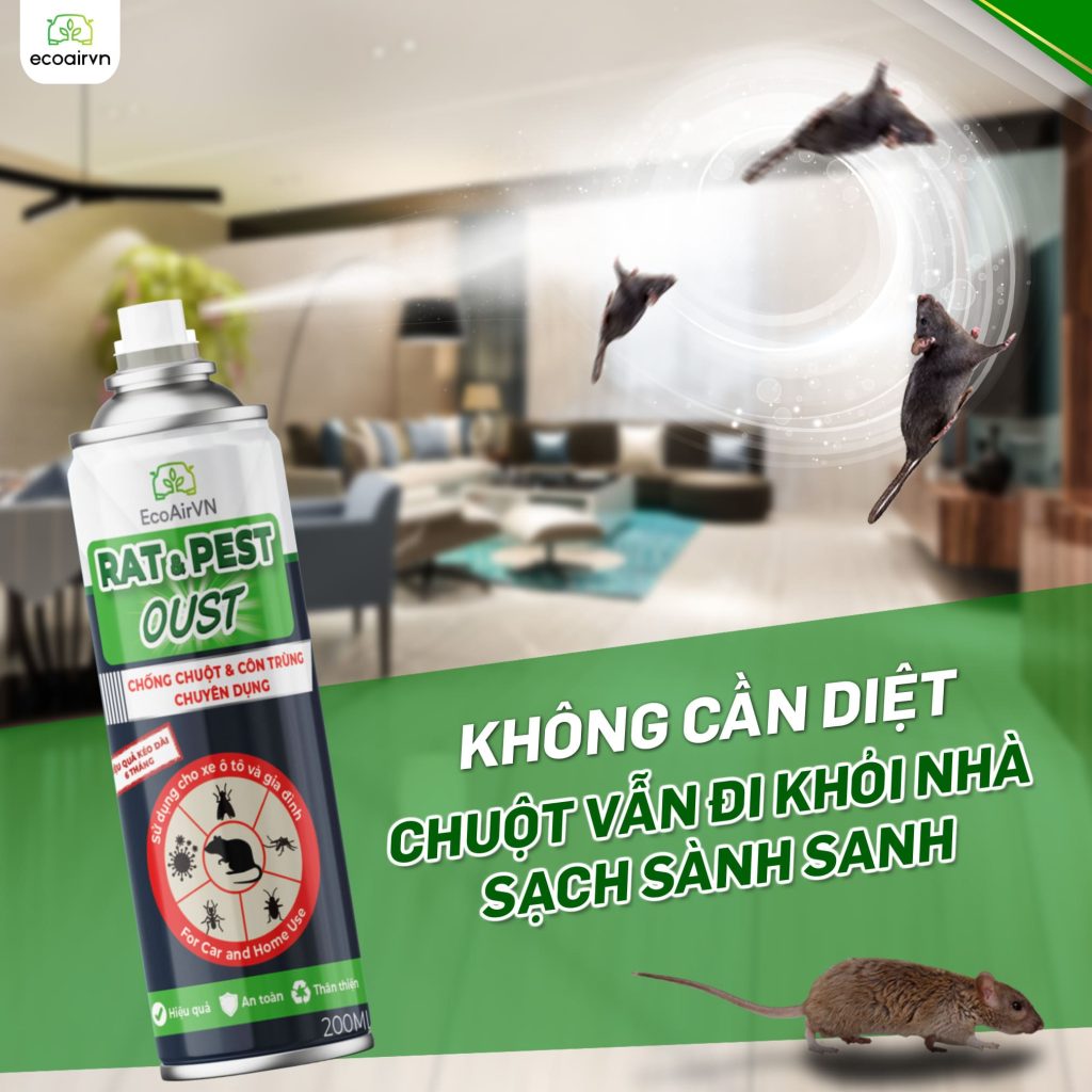 cách sử dụng xịt đuổi chuột Rat & Pest Oust, xịt đuổi chuột, xịt đuổi chuột Rat & Pest Oust