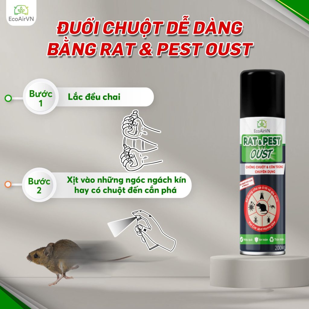 cách đuổi chuột, xịt đuổi chuột, xịt đuổi chuột chính hãng, xịt đuổi chuột Rat & Pest Oust, rat & pest oust, xịt chống chuột, đuổi chuột nhà ở