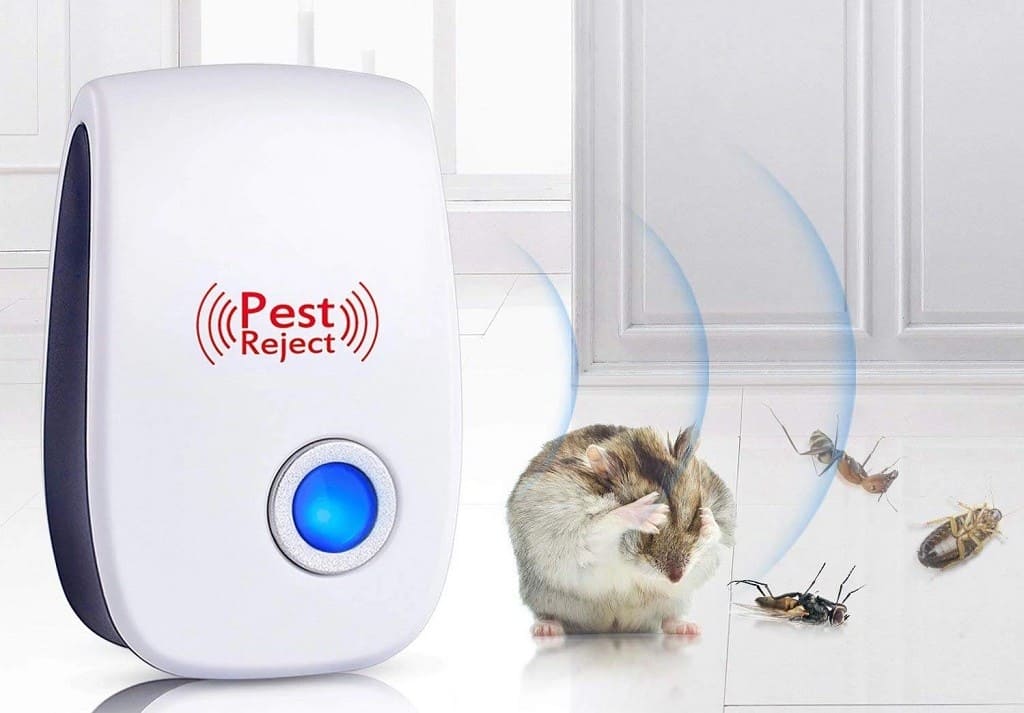 cách diệt chuột văn phòng, cách đuổi chuột, xịt đuổi chuột, xịt đuổi chuột chính hãng, xịt đuổi chuột Rat & Pest Oust, rat & pest oust, xịt chống chuột, đuổi chuột nhà ở