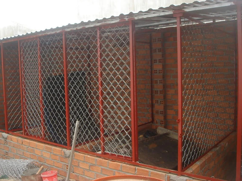 cách diệt chuột cắn gà, cách đuổi chuột, xịt đuổi chuột, xịt đuổi chuột chính hãng, xịt đuổi chuột Rat & Pest Oust, rat & pest oust, xịt chống chuột
