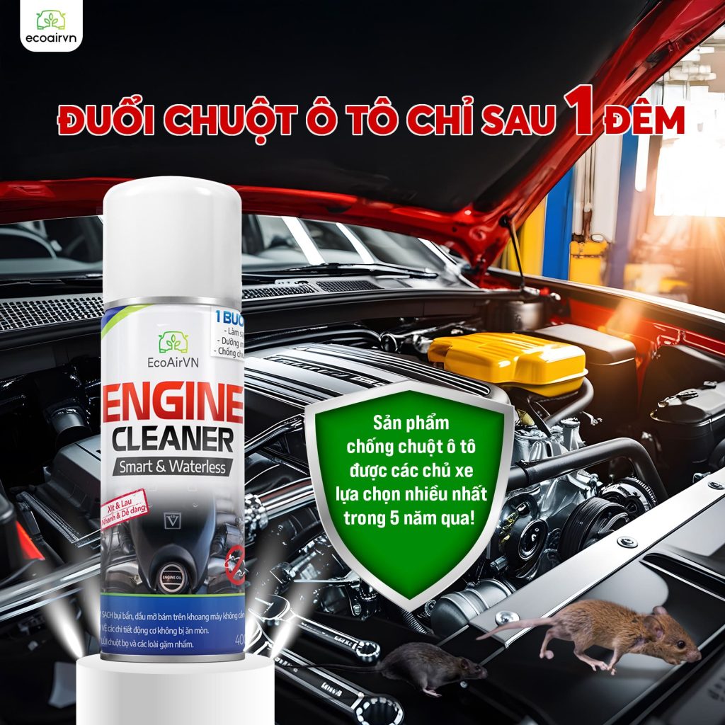 cách chống chuột ô tô, mẹo chống chuột ô tô hiệu quả, xịt chống chuột ô tô, xịt chống chuột ô tô engine cleaner