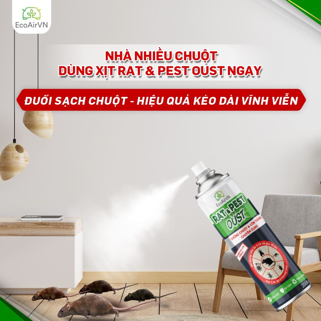 cách đuổi chuột, xịt đuổi chuột, xịt đuổi chuột chính hãng, xịt đuổi chuột Rat & Pest Oust, rat & pest oust, xịt chống chuột, đuổi chuột nhà ở