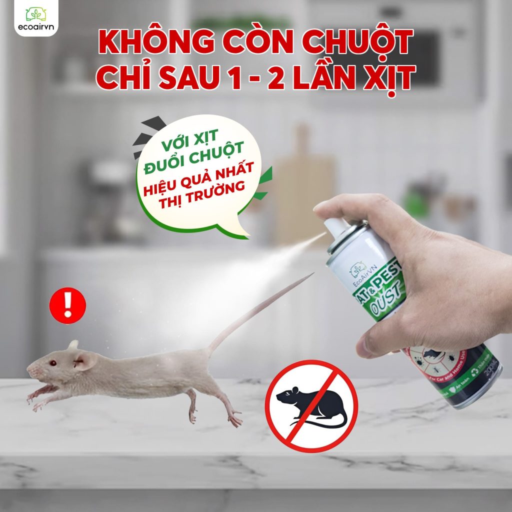 cách đuổi chuột, xịt đuổi chuột, xịt đuổi chuột chính hãng, xịt đuổi chuột Rat & Pest Oust, rat & pest oust, xịt chống chuột