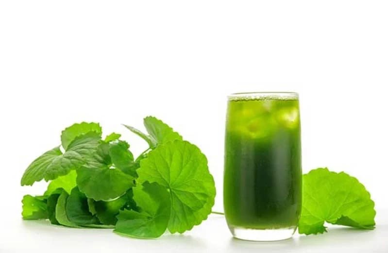 cách giải độc sau khi uống rượu bia, cách giải rượu bia, cách giải bia, cách giải rượu, thức uống giải rượu, giải rượu, nước giải rượu, thức uống giải rượu Acol Detox