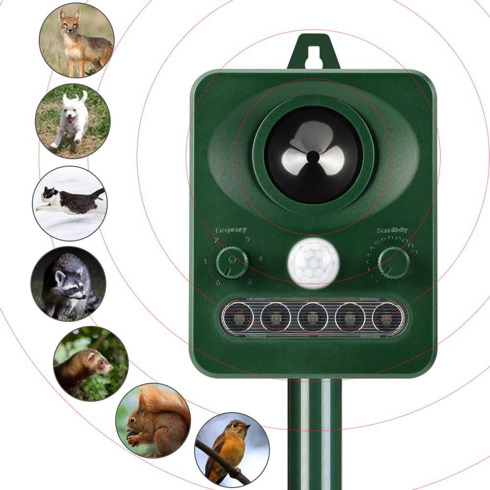 máy đuổi chuột sóng âm, cách đuổi chuột, xịt đuổi chuột, xịt đuổi chuột chính hãng, xịt đuổi chuột Rat & Pest Oust, rat & pest oust, xịt chống chuột