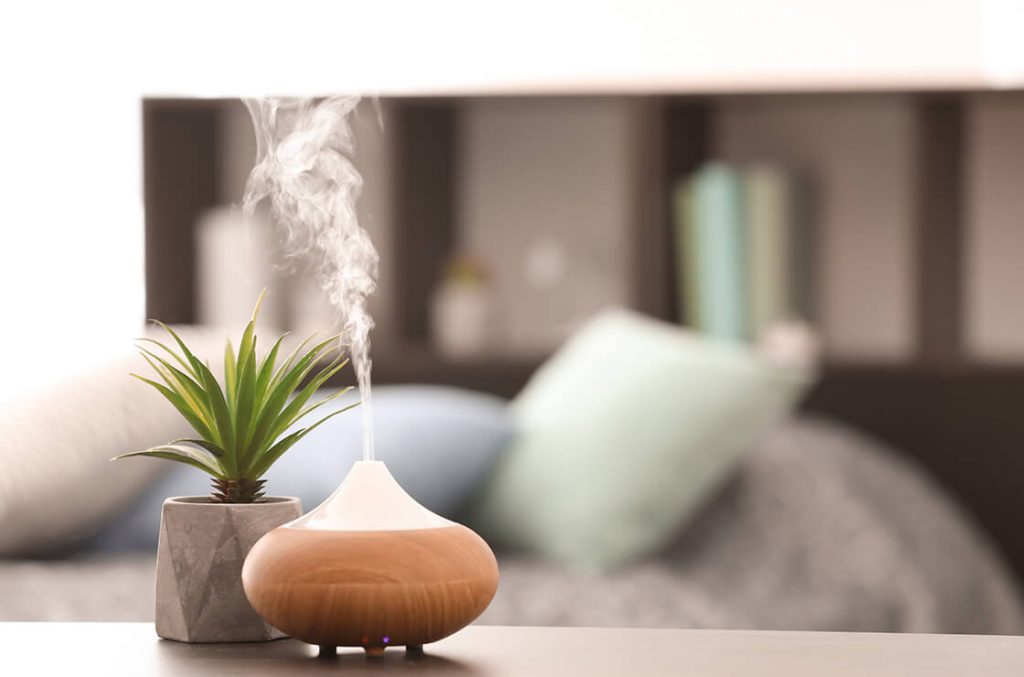 dầu khuynh diệp đuổi chuột, cách đuổi chuột, xịt đuổi chuột, xịt đuổi chuột chính hãng, xịt đuổi chuột Rat & Pest Oust, rat & pest oust, xịt chống chuột