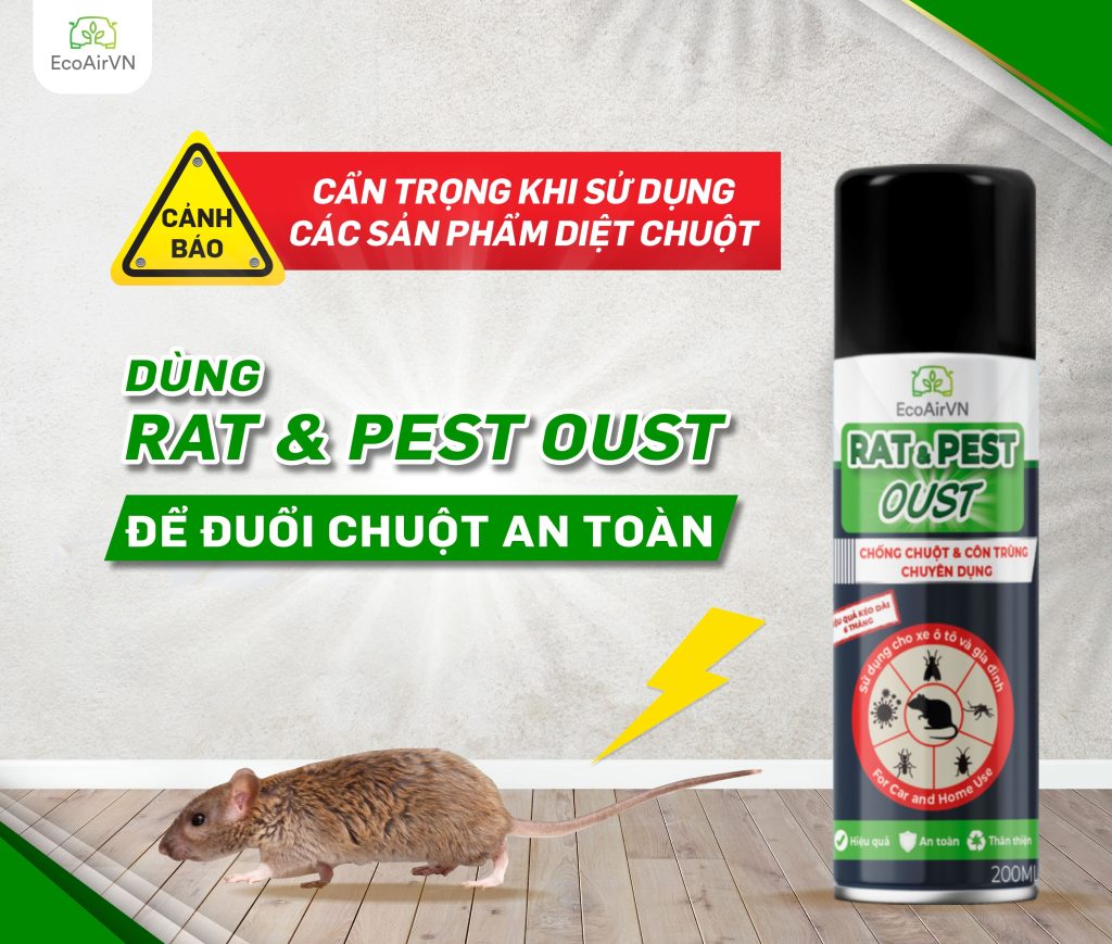 cách đuổi chuột, xịt đuổi chuột, xịt đuổi chuột chính hãng, xịt đuổi chuột Rat & Pest Oust, rat & pest oust, xịt chống chuột