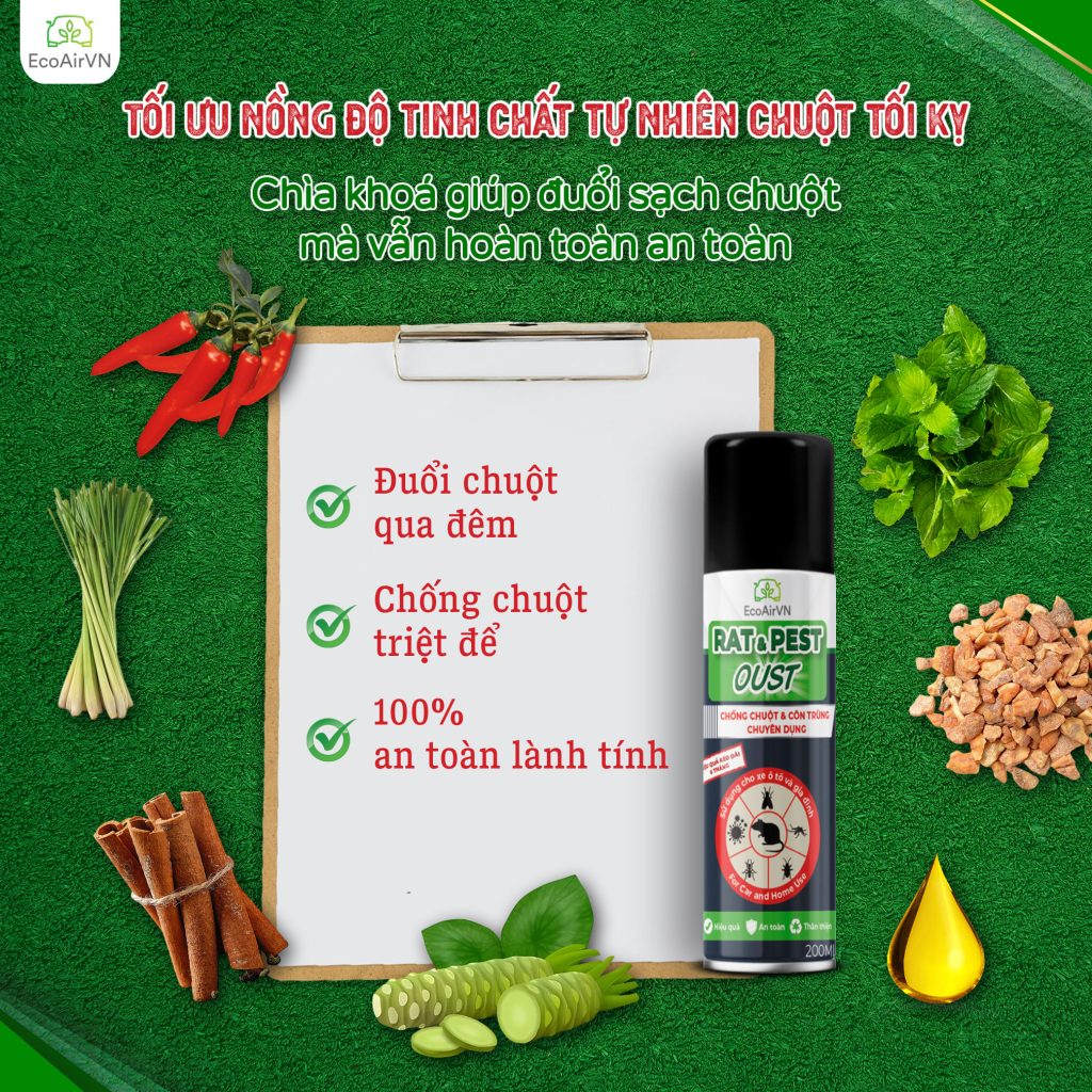 cách làm chuột sợ bỏ đi, cách đuổi chuột, xịt đuổi chuột, xịt đuổi chuột chính hãng, xịt đuổi chuột Rat & Pest Oust, rat & pest oust, xịt chống chuột