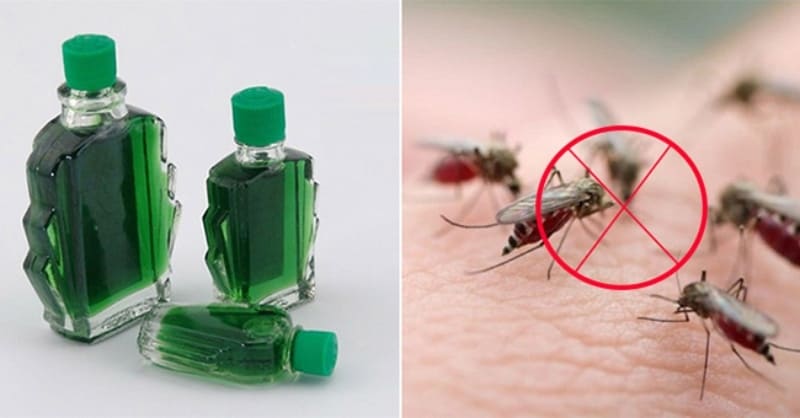 cách đuổi muỗi, xịt chống muỗi thiên nhiên, xịt chống muỗi, xịt muỗi thiên nhiên, xịt chống muỗi thiên nhiên heroh
