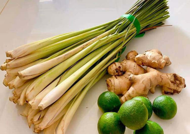 cách đuổi muỗi bằng gừng, cách đuổi muỗi, cách đuổi muỗi tự nhiên, xịt chống muỗi thiên nhiên, xịt chống muỗi, xịt muỗi thiên nhiên, xịt chống muỗi thiên nhiên heroh