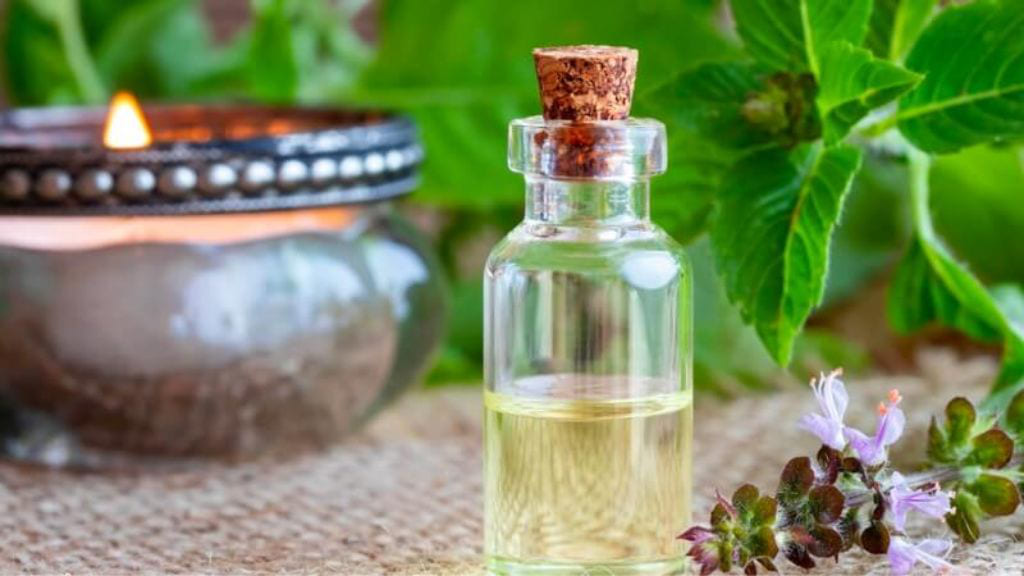 cách đuổi muỗi bằng lá é tía, cách đuổi muỗi, cách đuổi muỗi tự nhiên, xịt chống muỗi thiên nhiên, xịt chống muỗi, xịt muỗi thiên nhiên, xịt chống muỗi thiên nhiên heroh