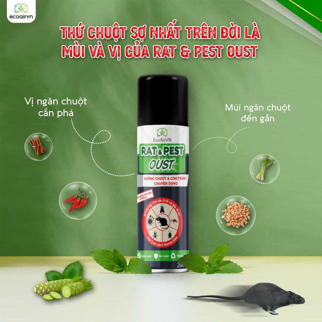 cách đuổi chuột bằng mùi hương, cách đuổi chuột, xịt đuổi chuột, xịt đuổi chuột chính hãng, xịt đuổi chuột Rat & Pest Oust, rat & pest oust, xịt chống chuột