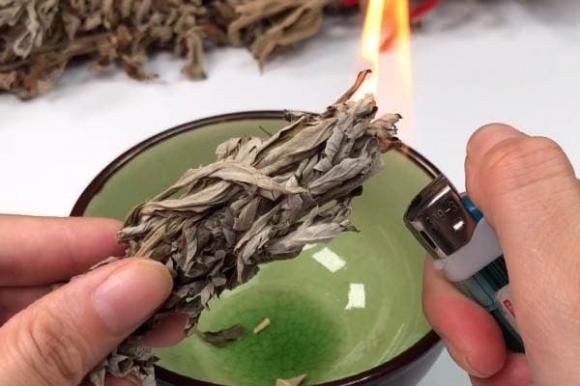 cách đuổi muỗi bằng lá é tía, cách đuổi muỗi, cách đuổi muỗi tự nhiên, xịt chống muỗi thiên nhiên, xịt chống muỗi, xịt muỗi thiên nhiên, xịt chống muỗi thiên nhiên heroh