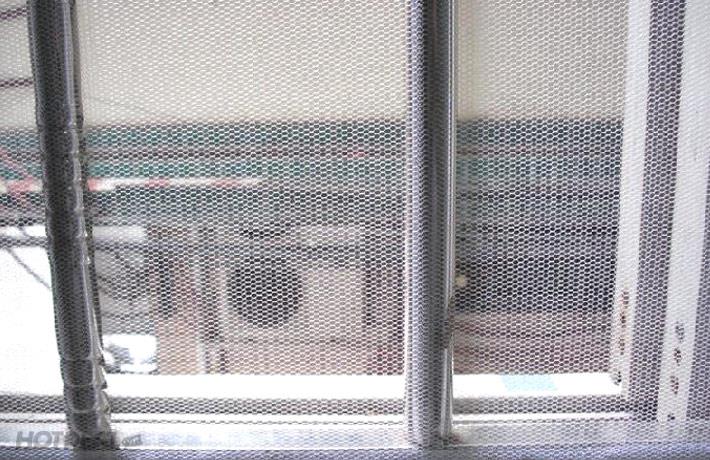 cửa lưới chống chuột, cách đuổi chuột, xịt đuổi chuột, xịt đuổi chuột chính hãng, xịt đuổi chuột Rat & Pest Oust, rat & pest oust, xịt chống chuột