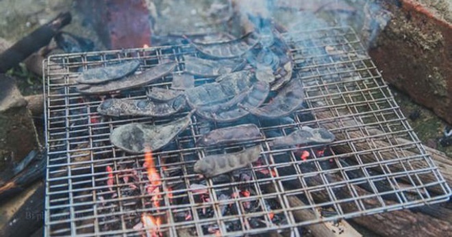 cách đuổi muỗi bằng bồ kết, cách đuổi muỗi, xịt chống muỗi thiên nhiên, xịt chống muỗi, xịt muỗi thiên nhiên, xịt chống muỗi thiên nhiên heroh