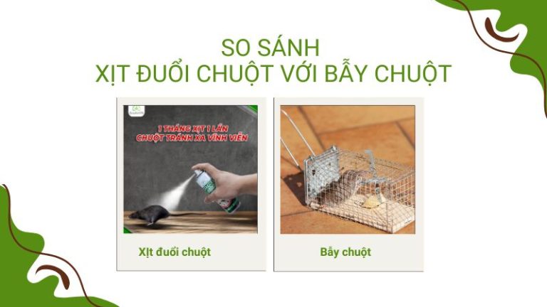 So sánh xịt đuổi chuột với bẫy chuột