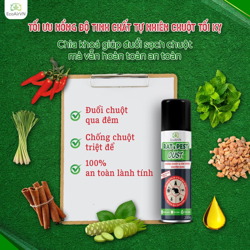 xịt đuổi chuột an toàn cho trẻ em, xịt đuổi chuột, xịt đuổi chuột chính hãng, xịt đuổi chuột Rat & Pest Oust, rat & pest oust, xịt chống chuột