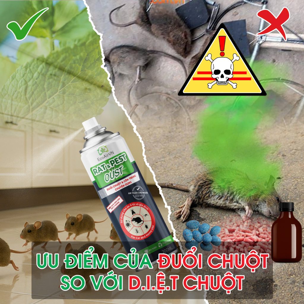 Xịt đuổi chuột an toàn, hiệu quả