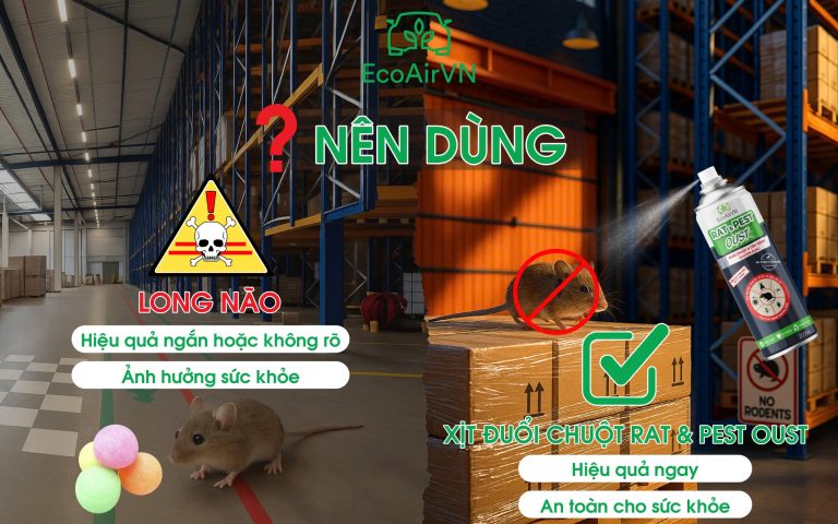 Nên dùng long não hay xịt đuổi chuột?