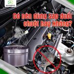 có nên dùng sáp đuổi chuột không