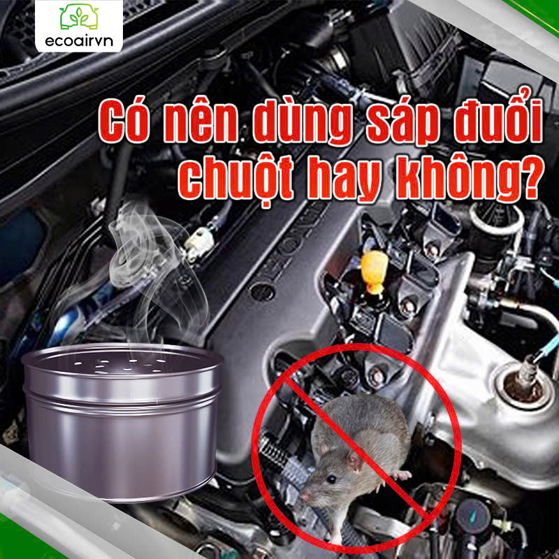 có nên dùng sáp đuổi chuột không?