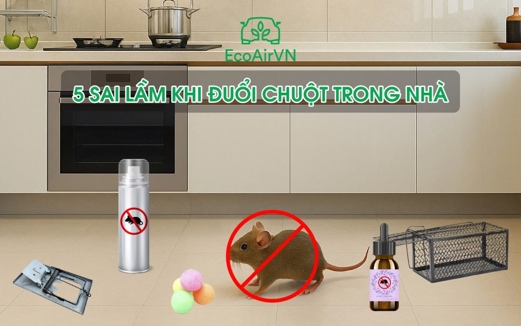 5 sai lầm khi đuổi chuột trong nhà