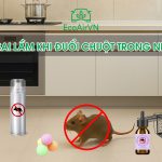 5 sai lầm khi đuổi chuột trong nhà