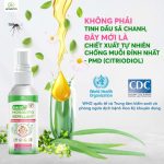 Muỗi trú ẩn ở đâu trong nhà? Cách xử lý an toàn, hiệu quả