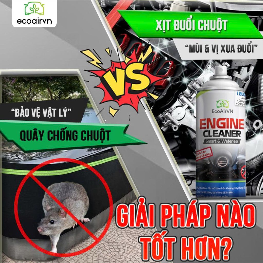 quây chống chuột hay xịt đuổi chuột
