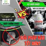 Quây chống chuột hay xịt đuổi chuột