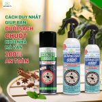tại sao xịt đuổi chuột không đi? cách đuổi chuột vĩnh viễn