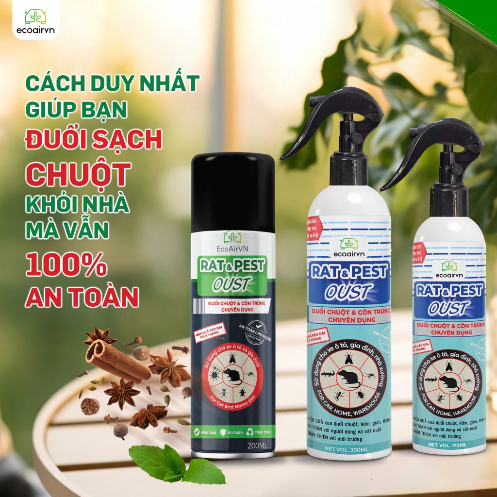 tại sao xịt đuổi chuột không đi? cách đuổi chuột vĩnh viễn