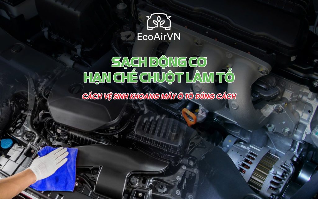 cách vệ sinh khoang máy ô tô đúng cách