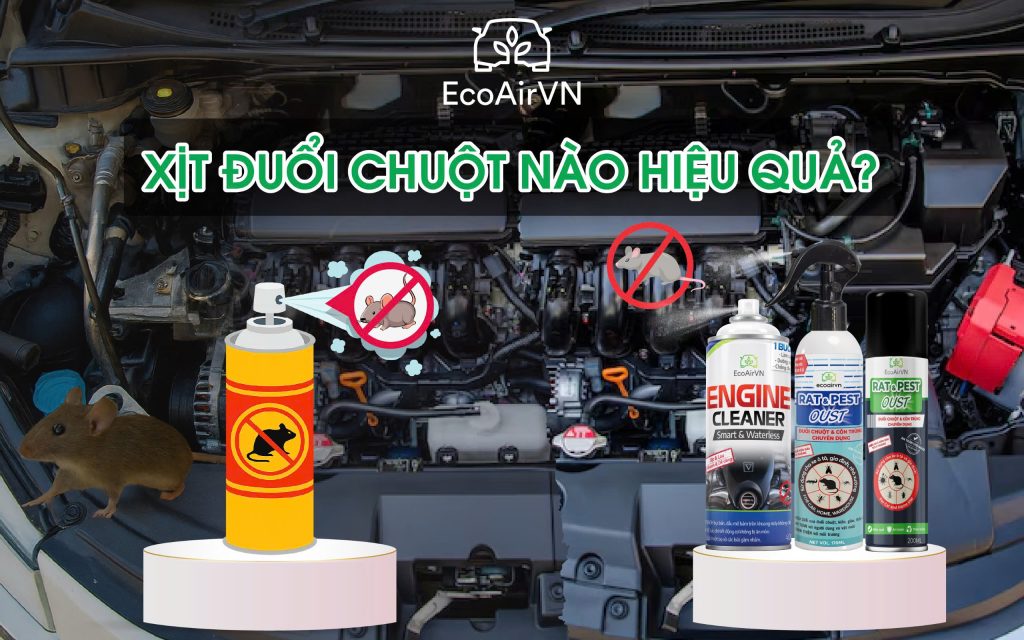 xịt đuổi chuột nào hiệu quả